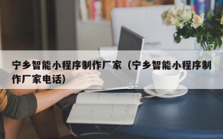 公主岭宁乡智能小程序制作厂家（宁乡智能小程序制作厂家电话）